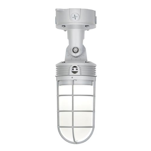 Ledvance 62448 Dual Selectable Led Jelly Jar Outdoor Fixture